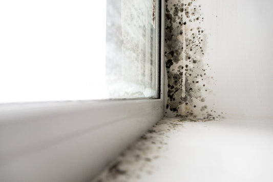 Breathing Easy: The Health Benefits of SISALWOOL™ Insulation for Indoor Air Quality - Sisaltech Ltd
