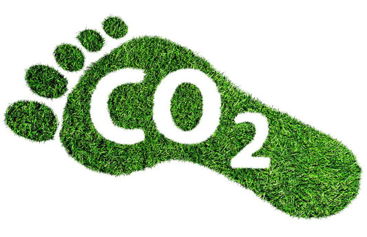 Reducing Your Carbon Footprint: How SISALWOOL™ Helps Fight Climate Change - Sisaltech Ltd