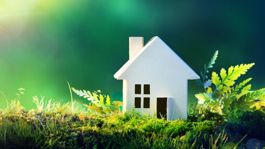 The Growing Trend of Eco-Conscious Home Improvements – What’s Driving the Shift? - Sisaltech Ltd