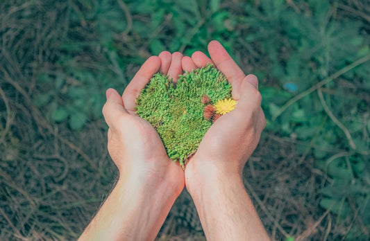 Why Sustainability in Construction Matters - Sisaltech Ltd