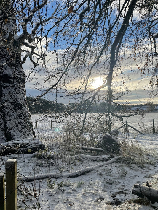 Winter Is Coming…. - Sisaltech Ltd
