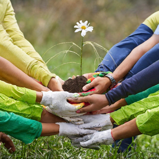 Innovative Solutions for a Sustainable Future: The Role of Sisalwool Insulation in Building Resilient Communities - Sisaltech Ltd