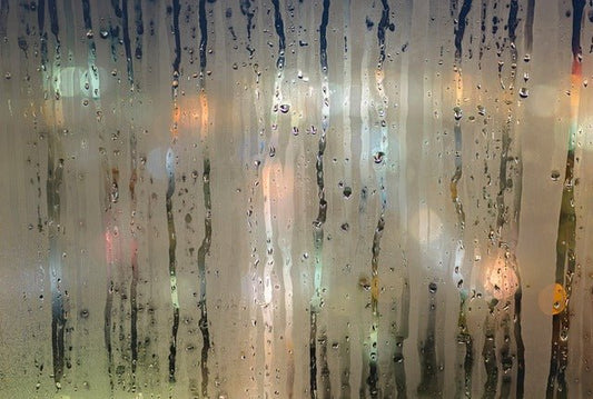 Preventing Moisture Issues Through Proper Insulation - Sisaltech Ltd