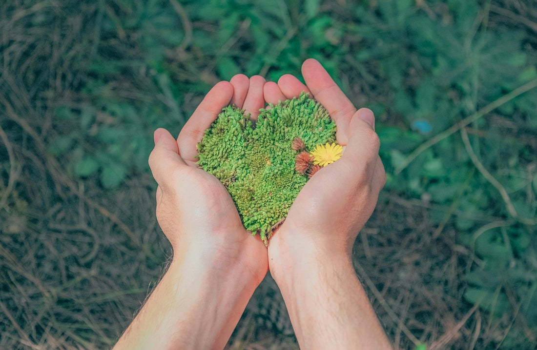 Why Sustainability in Construction Matters - Sisaltech Ltd